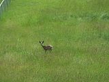 126 - Jasper to Sun Peaks - IMGA0150